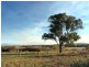 5 Kilkenny  Lane, Clunes VIC 3370