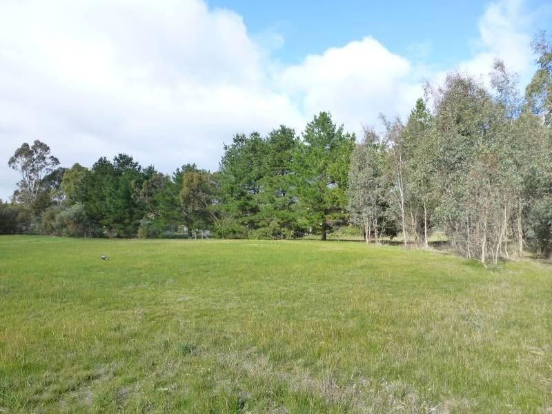 229 Dehnerts Road, Daisy Hill VIC 3465