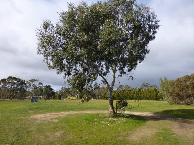 229 Dehnerts Road, Daisy Hill VIC 3465