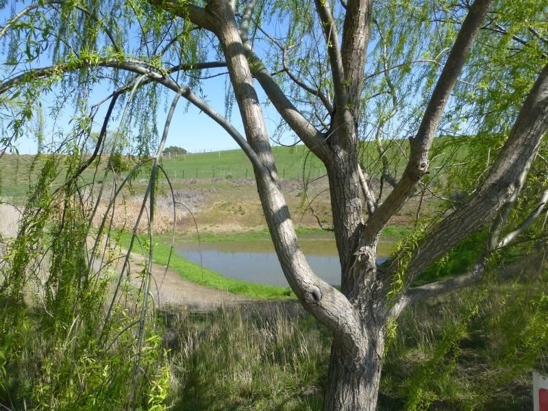 185 Beckworth Court Road, Clunes VIC 3370