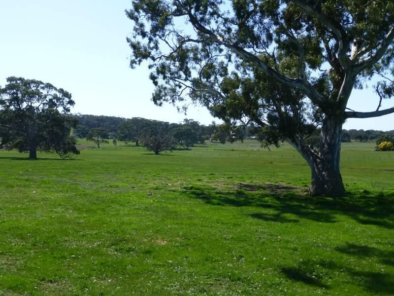 185 Beckworth Court Road, Clunes VIC 3370