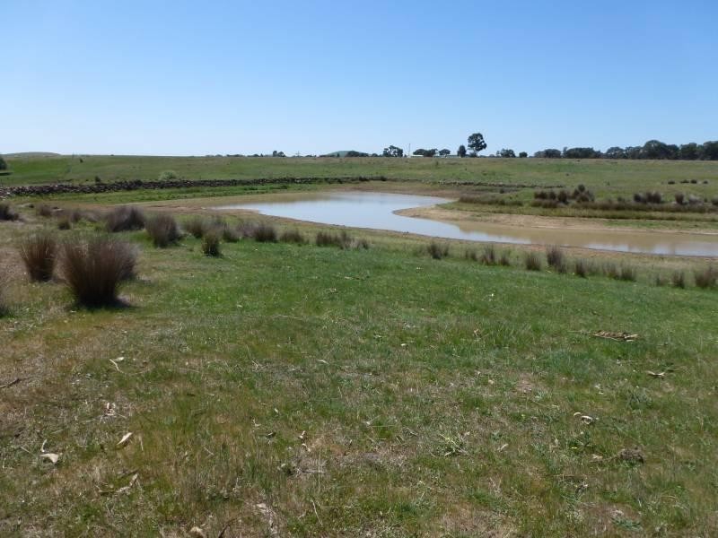 65 Holton Road, Creswick North VIC 3363