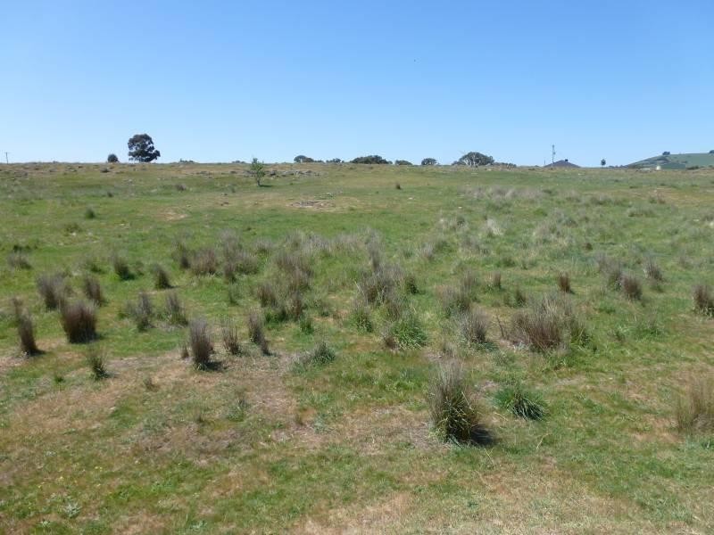 65 Holton Road, Creswick North VIC 3363