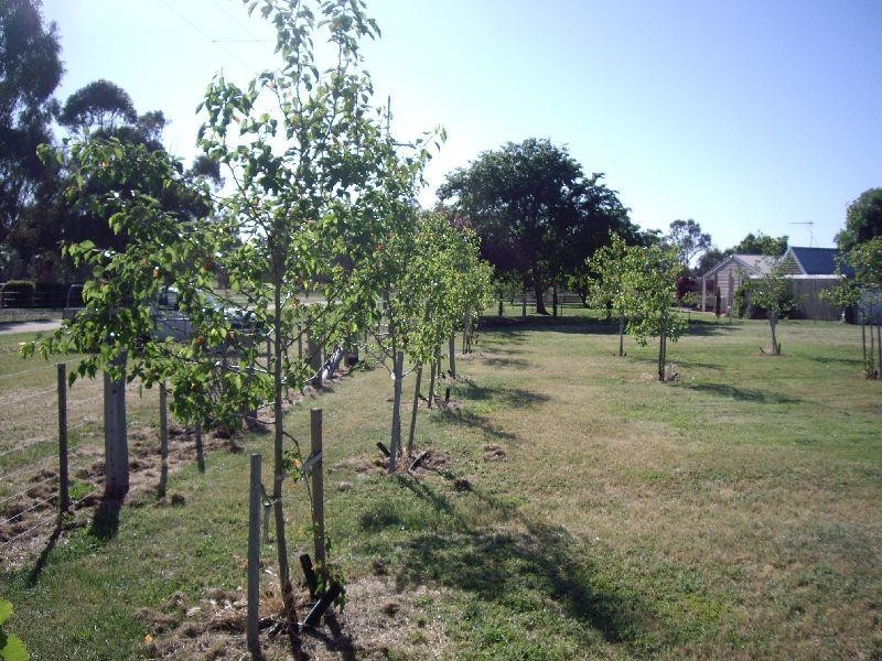 75 Macaulay Street, Talbot VIC 3371