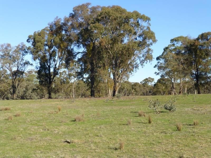 224 Nuggetty Gully Road, Talbot VIC 3371