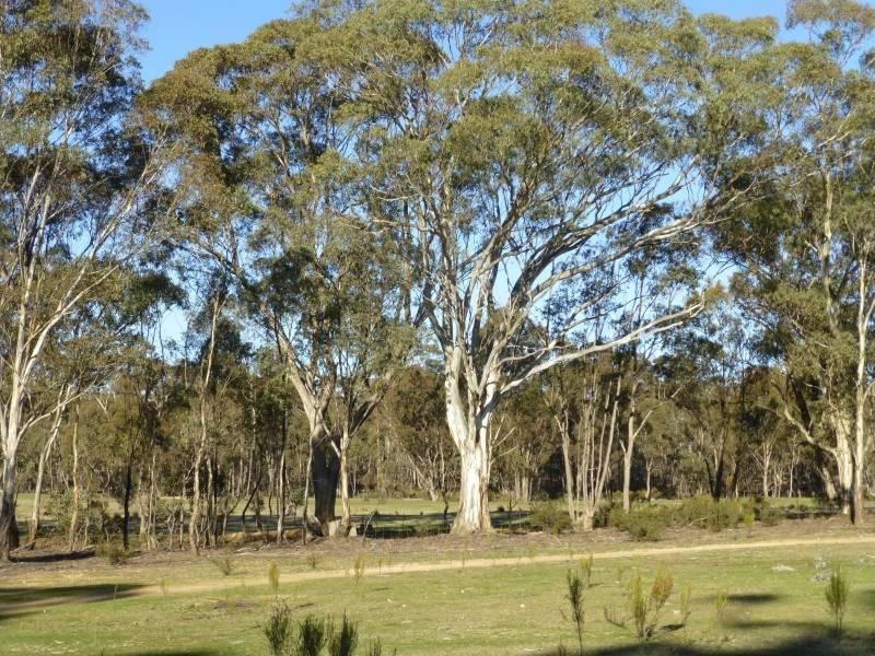 224 Nuggetty Gully Road, Talbot VIC 3371