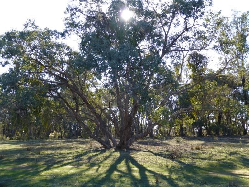 224 Nuggetty Gully Road, Talbot VIC 3371