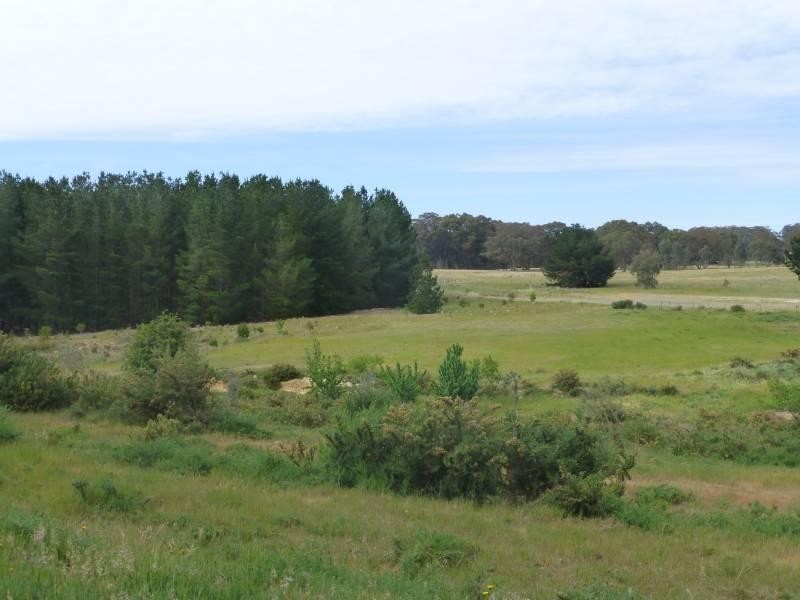 CA6 Addington Road, Ascot VIC 3364