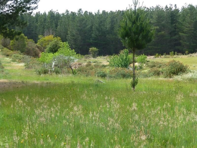 CA6 Addington Road, Ascot VIC 3364