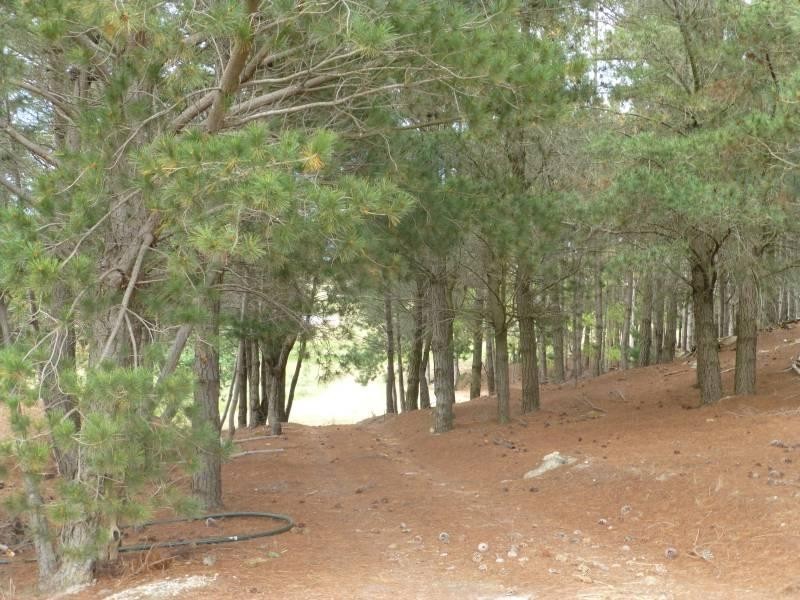 CA6 Addington Road, Ascot VIC 3364