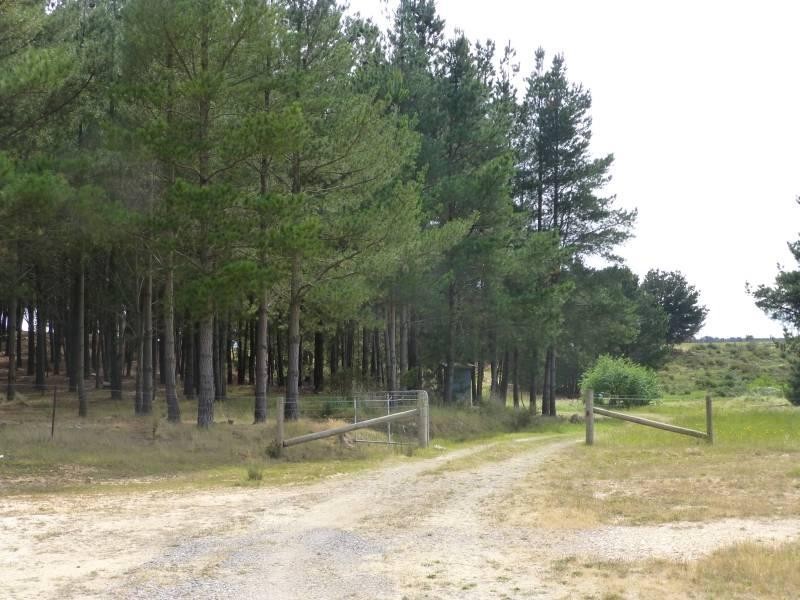 CA6 Addington Road, Ascot VIC 3364