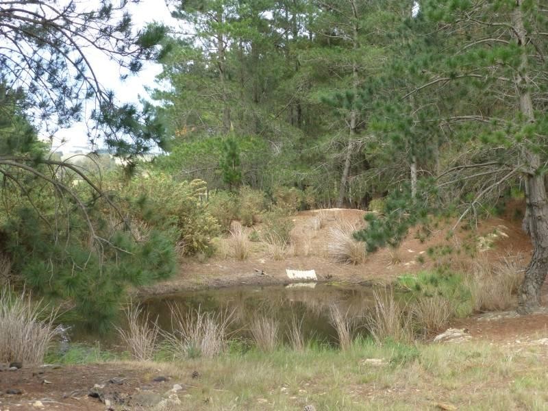 CA6 Addington  Road, Ascot VIC 3364