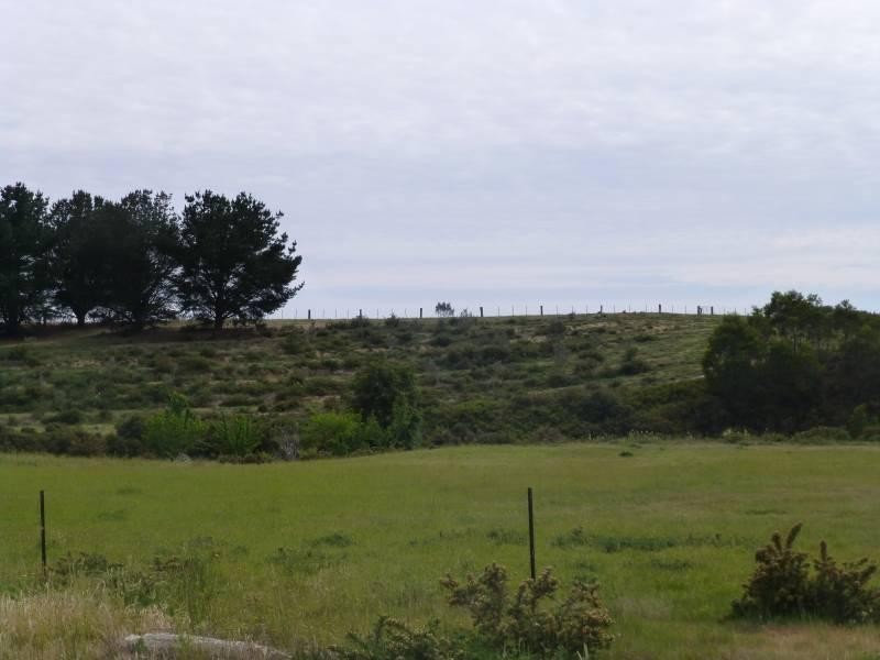 CA6 Addington  Road, Ascot VIC 3364