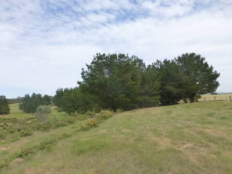 CA6 Addington  Road, Ascot VIC 3364