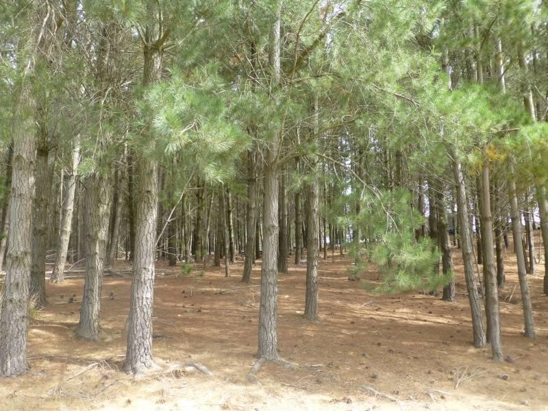 CA6 Addington  Road, Ascot VIC 3364