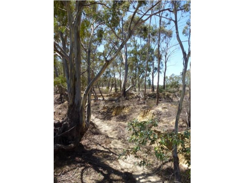 ca 88J Lexton-Talbot Road, Evansford VIC 3371