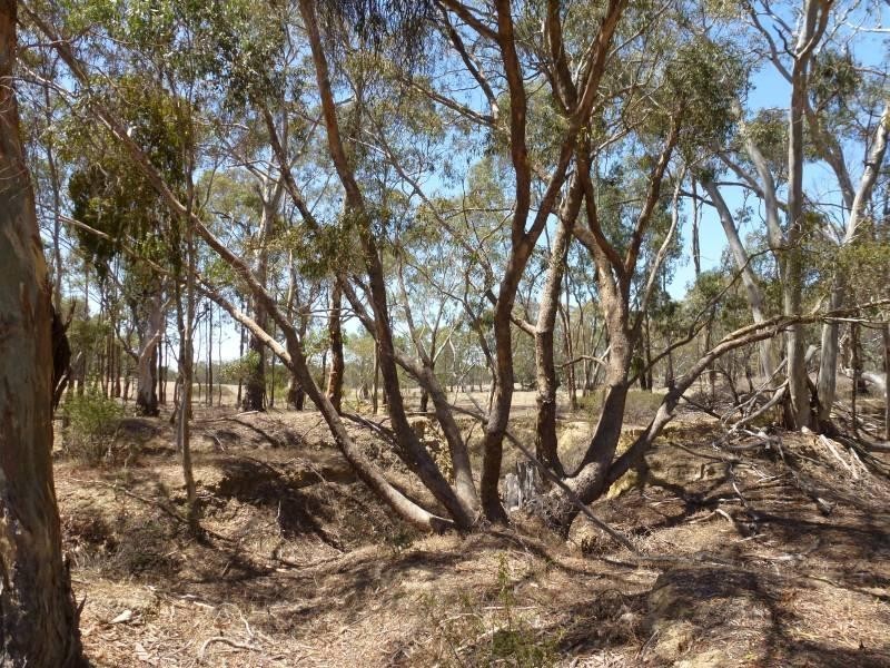 ca 88J Lexton-Talbot Road, Evansford VIC 3371