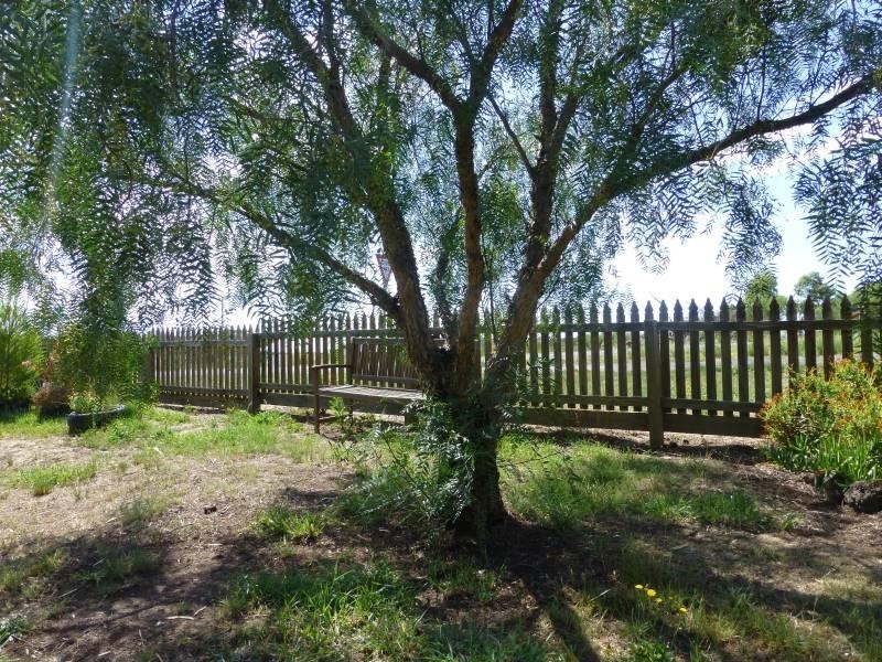 20 Camp Parade, Clunes VIC 3370