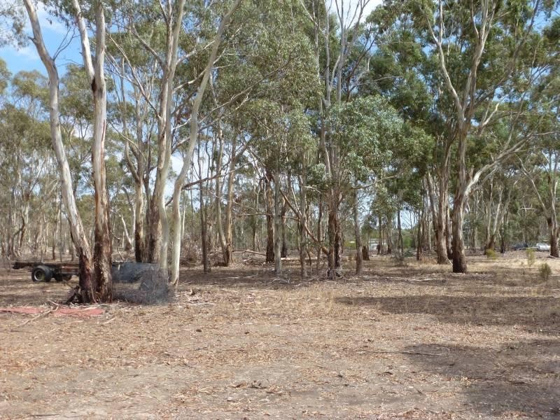 65 Mcdonalds Road, Clunes VIC 3370