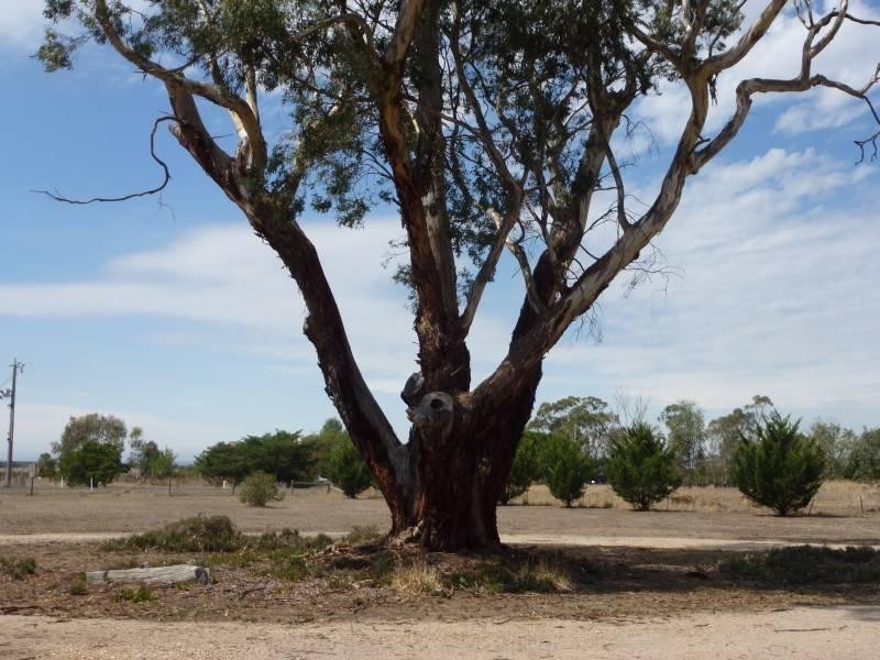 65 Mcdonalds Road, Clunes VIC 3370