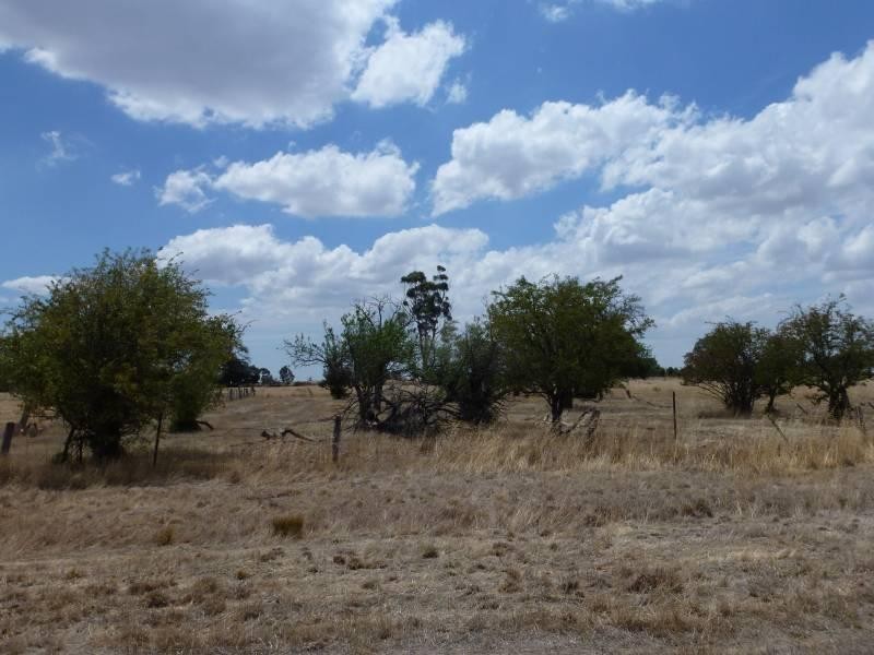 ca10,11 .. Flood/Island  Street, Clunes VIC 3370