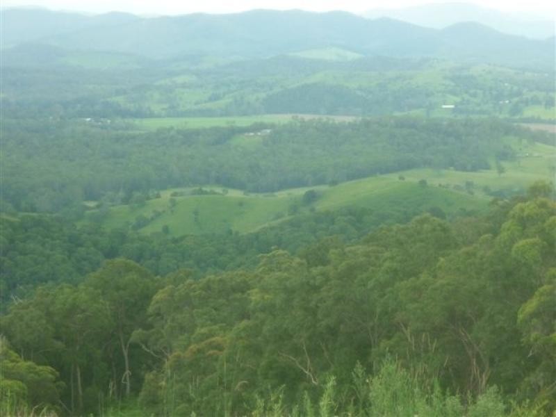 Black Mountain QLD 4563