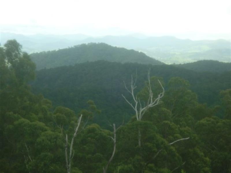 Black Mountain QLD 4563