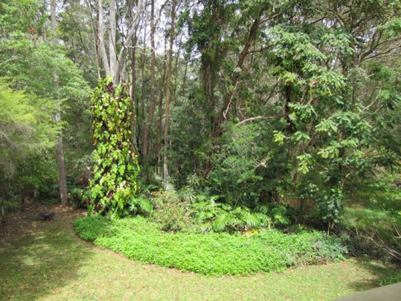 Ringtail Creek QLD 4565