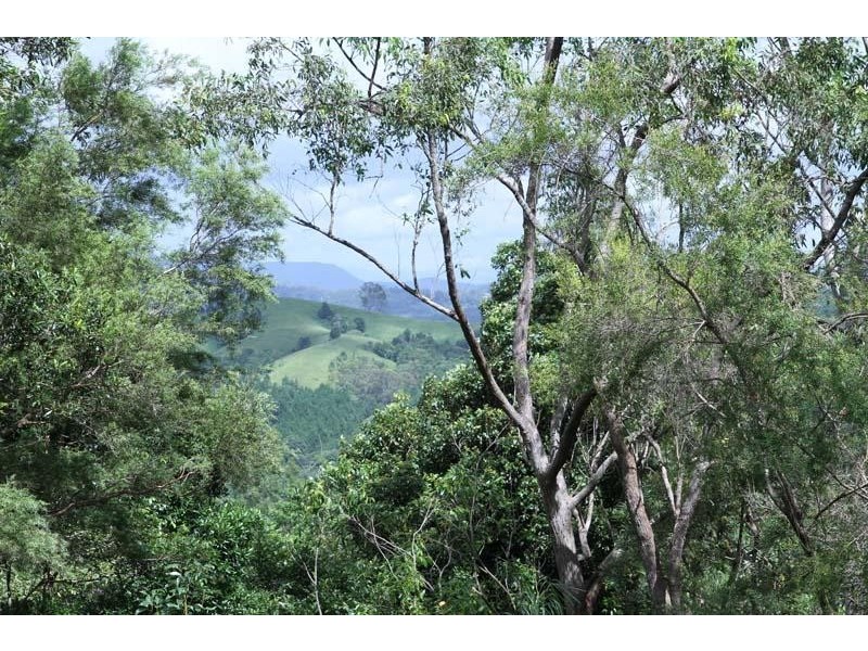 Cooroy QLD 4563