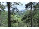 Cooroy QLD 4563