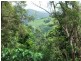 Cooroy QLD 4563