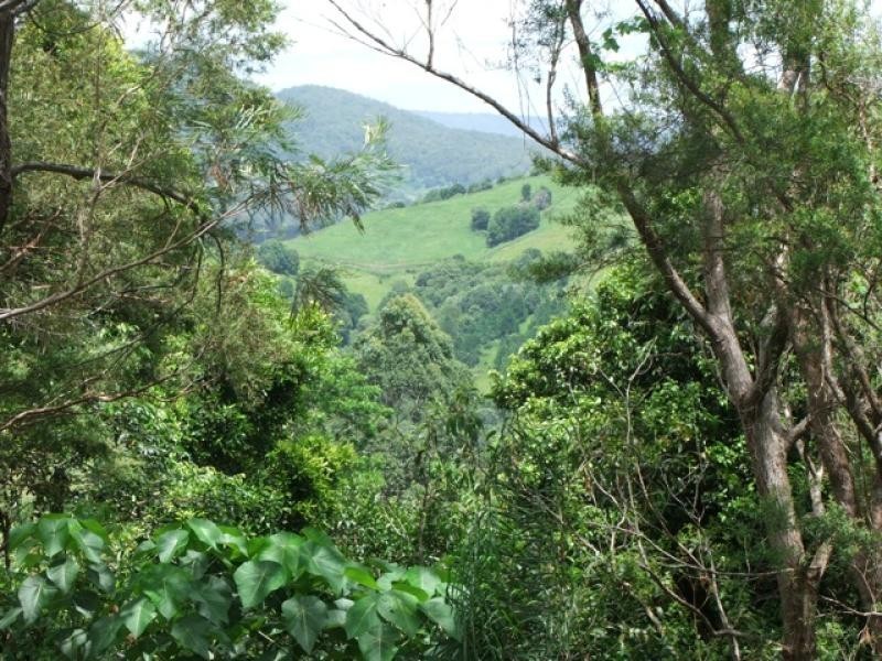 Cooroy QLD 4563