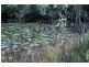 Gunalda QLD 4570