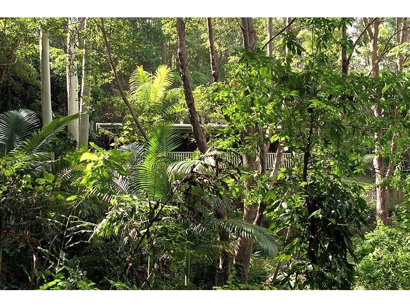 Doonan QLD 4562