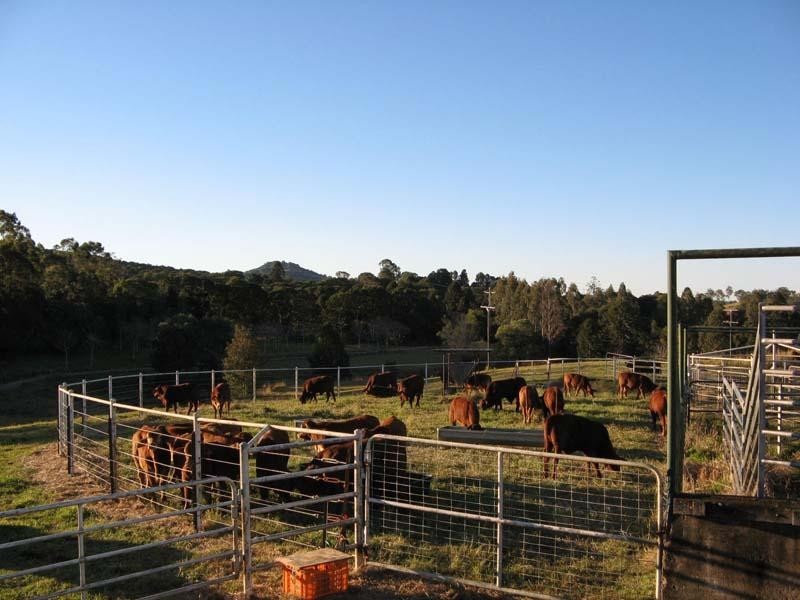 175 Diamondfield  Road, Amamoor QLD 4570