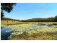 Belli Park QLD 4562