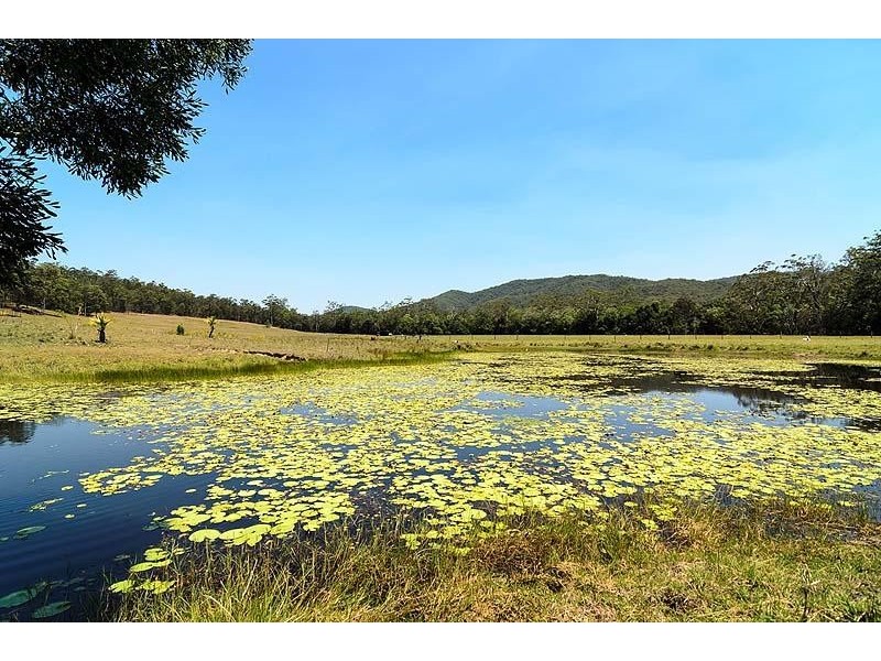 Belli Park QLD 4562