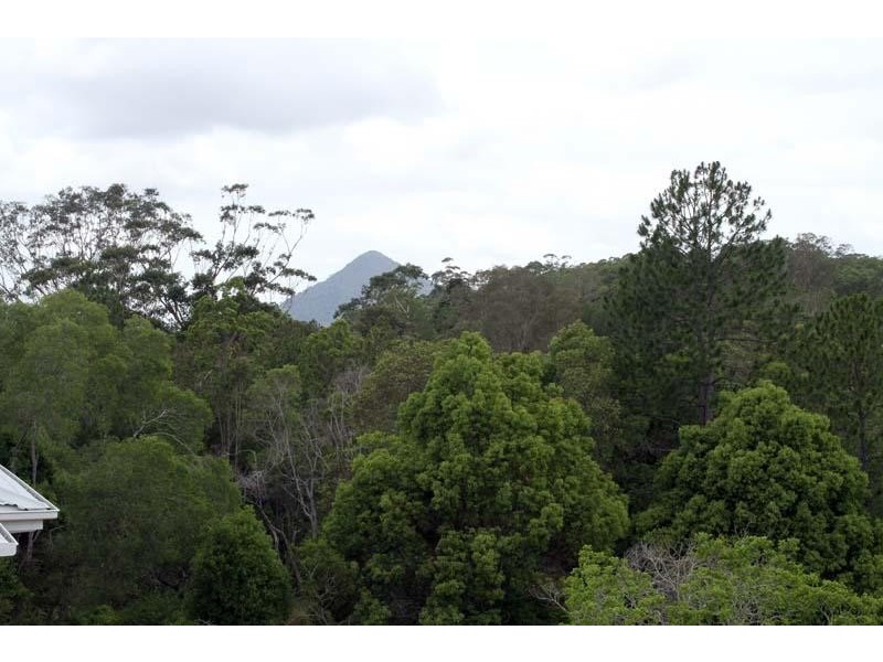 3a Kauri Street, Cooroy QLD 4563