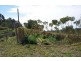 Cooran QLD 4569