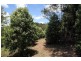 Cooran QLD 4569