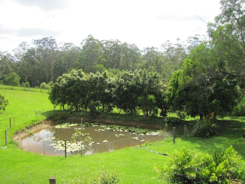 Black Mountain QLD 4563