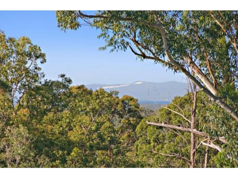 Lake Macdonald QLD 4563