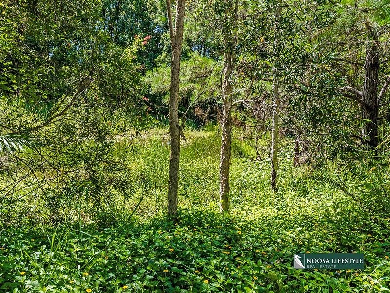 48 Caplick Way, Eumundi QLD 4562