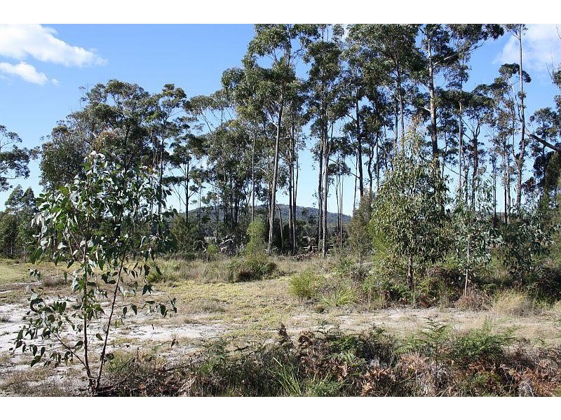 Lot 16 Shady Lane KALARU 2550, Kalaru NSW 2550