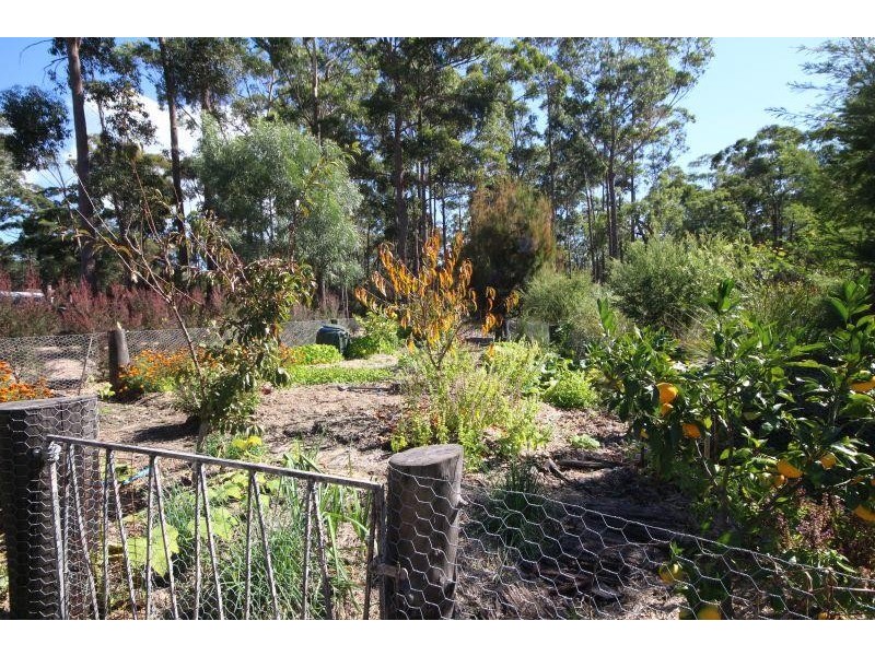 167 Shady Lane, Wallagoot NSW 2550