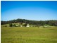 1170 Tathra Bermagui Road, Tanja NSW 2550
