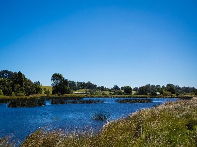 1170 Tathra Bermagui Road, Tanja NSW 2550