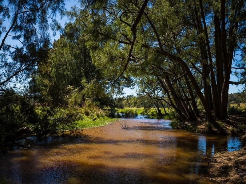 1170 Tathra Bermagui Road, Tanja NSW 2550