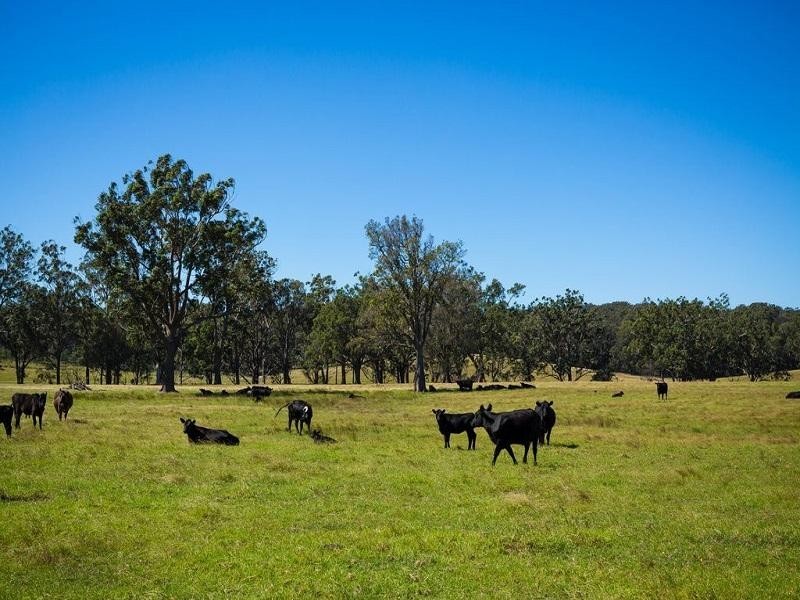 1170 Tathra Bermagui Road, Tanja NSW 2550