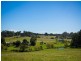 1170 Tathra Bermagui Road, Tanja NSW 2550